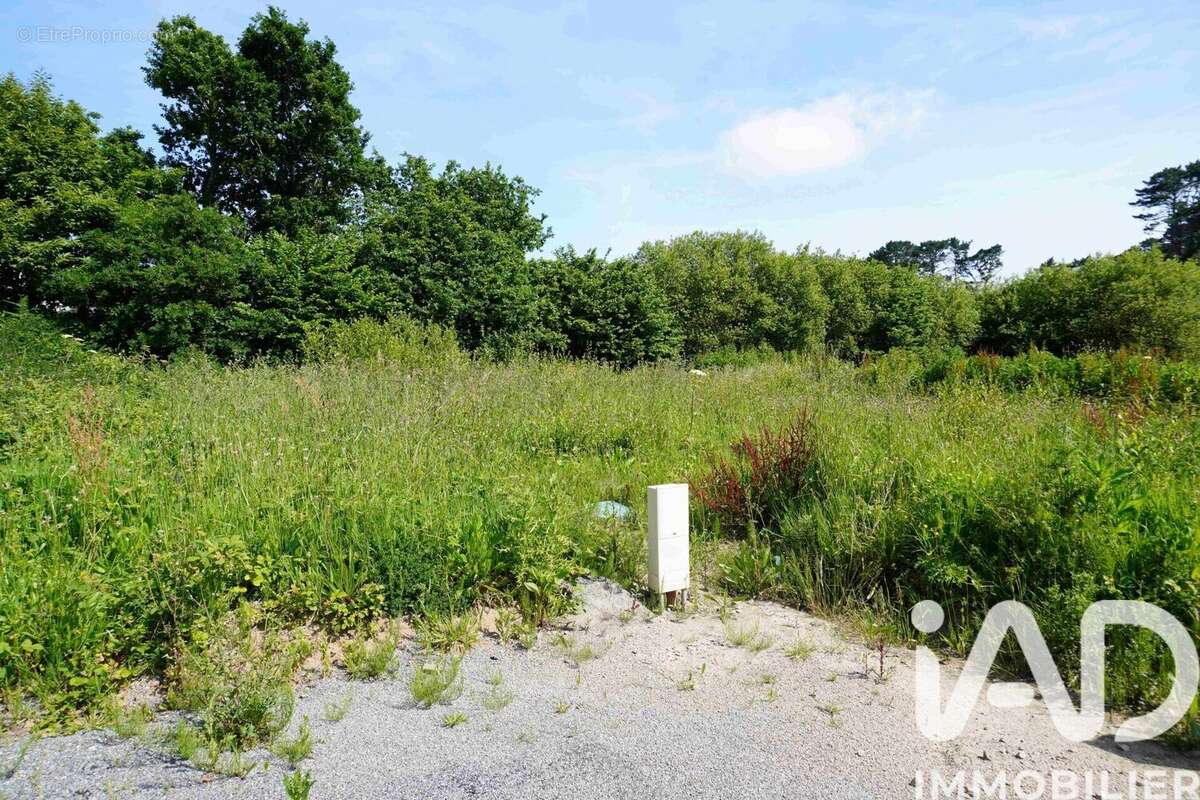 Photo 2 - Terrain à LESNEVEN