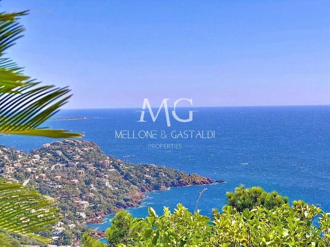 Villa provençale de prestige avec vue mer panoramique – Théoule-sur-Mer - photo 22