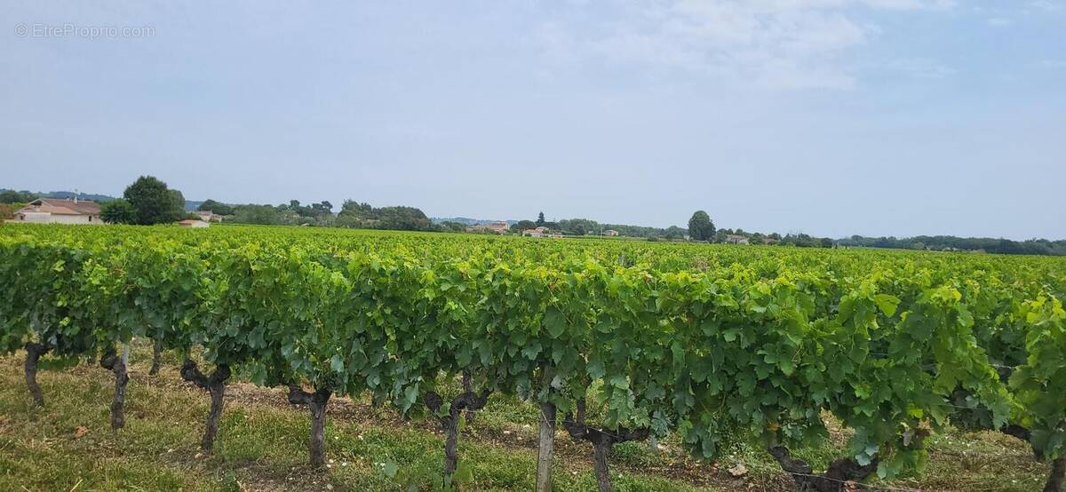 Terrain à PORTETS