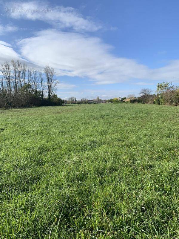 Terrain à LA SAUVETAT-DU-DROPT