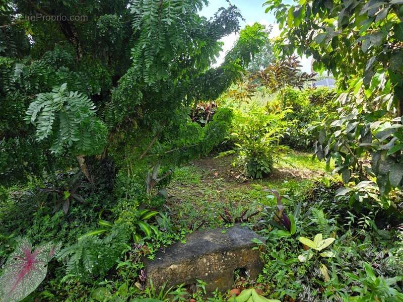 Maison à BAIE-MAHAULT