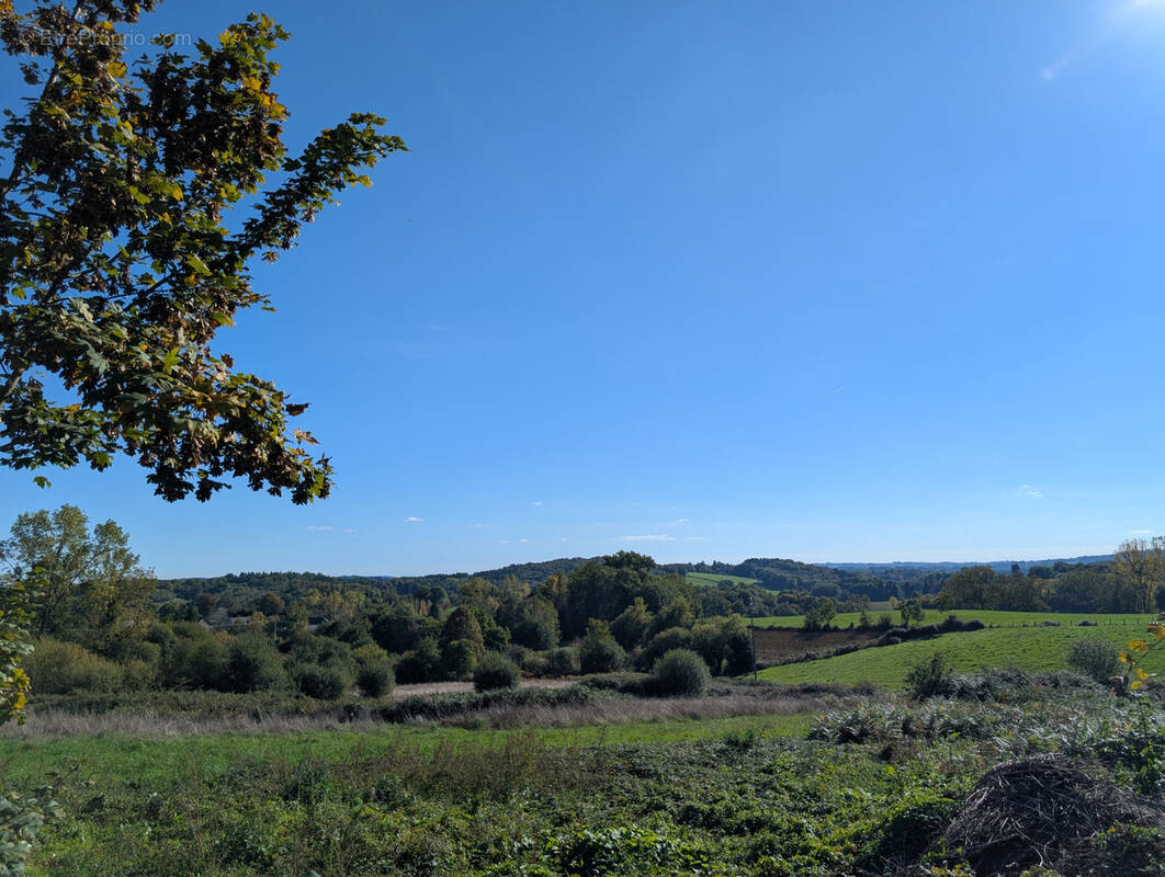 Terrain à LAGRAULIERE