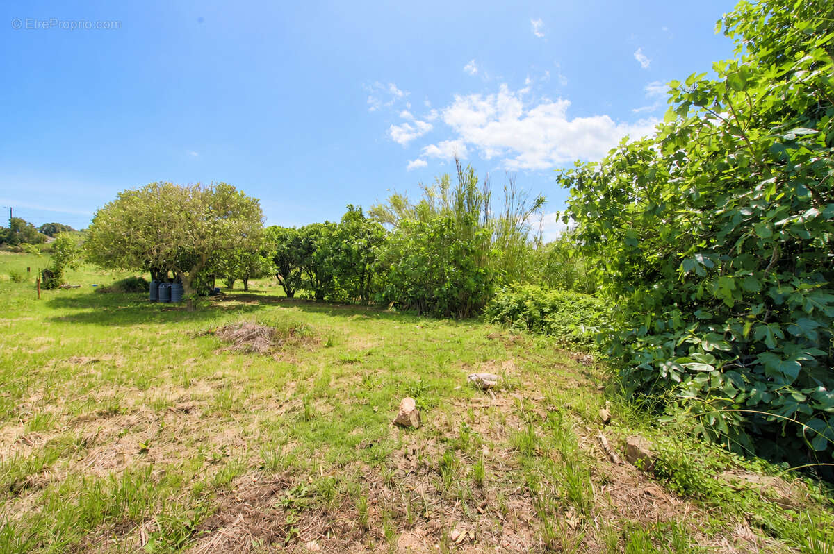 Terrain à BASTIA