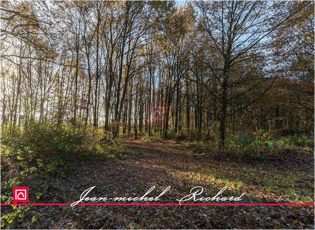 Terrain à COURMEMIN