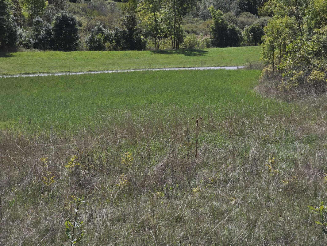 Terrain à PUY-SAINT-EUSEBE