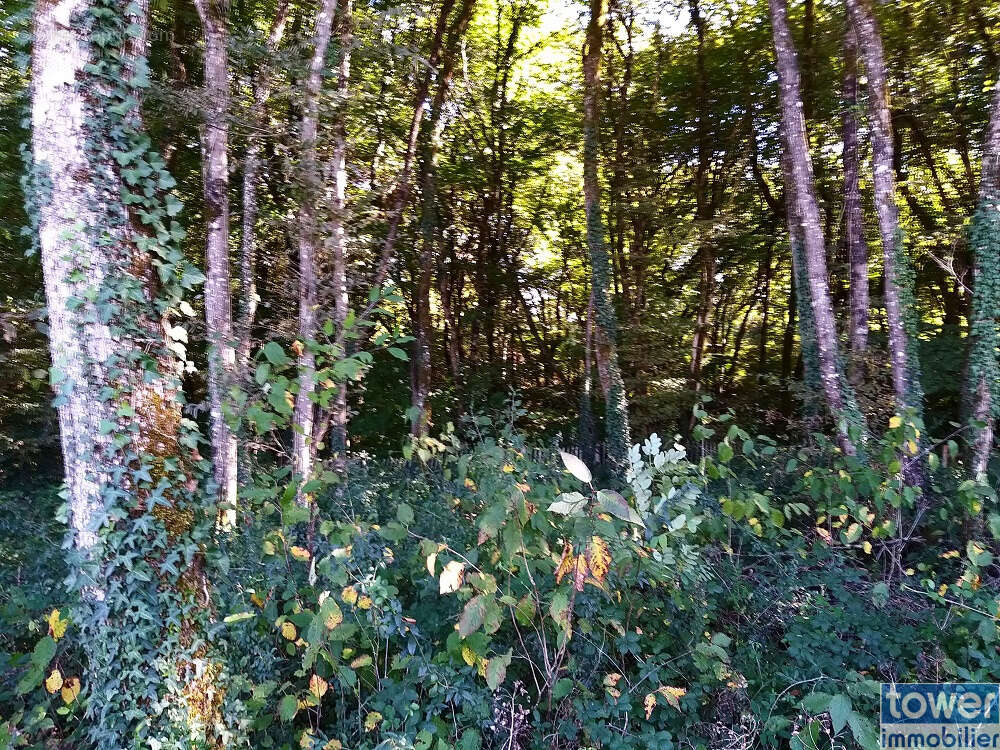 Terrain à PRANZAC