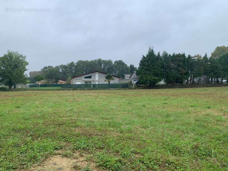 Terrain à SERRES-CASTET