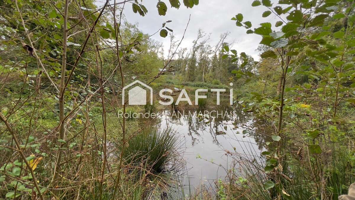 Photo 4 - Terrain à LES BORDES