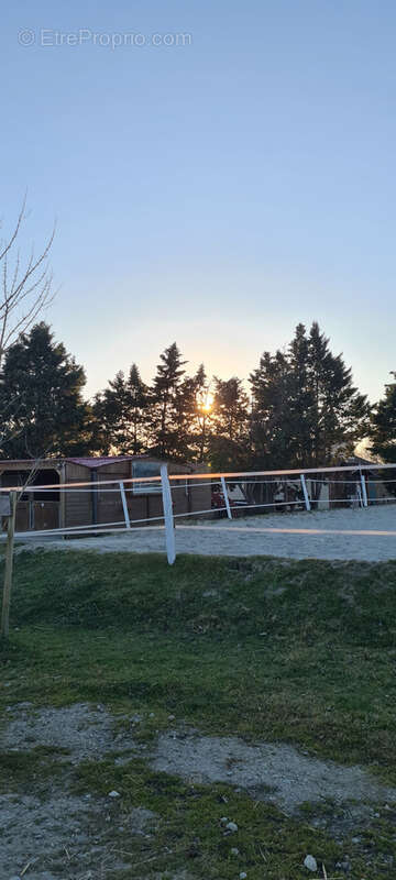 CINTEGABELLE- Fonds de commerce pension de chevaux et poney club - photo 8