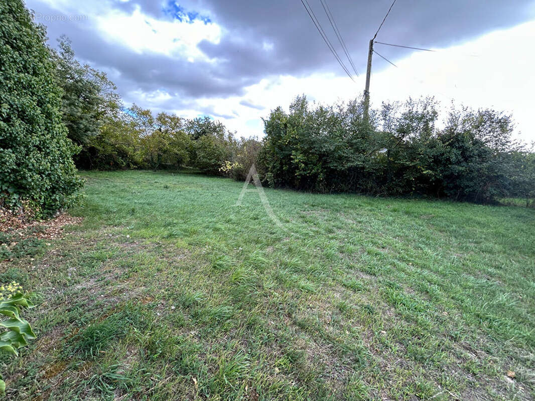 Terrain à LA POMMERAYE