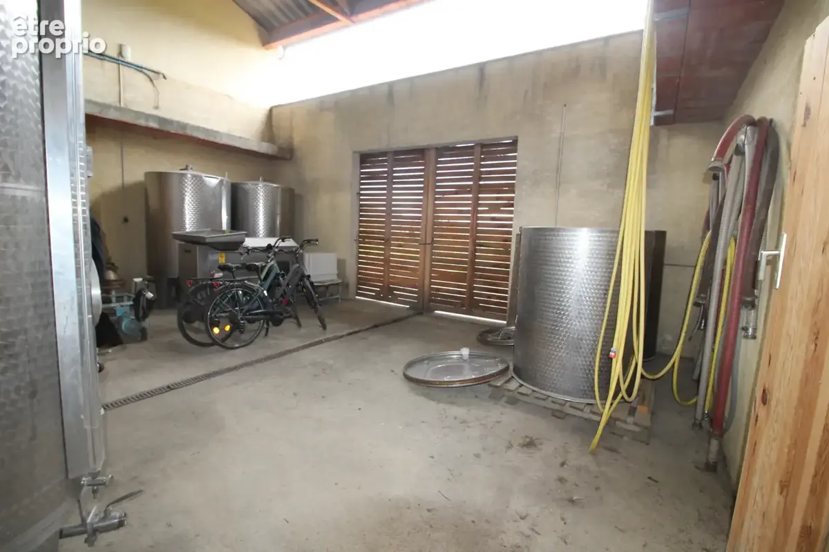 3 km de Limoux - Propriété avec appartement, dépendances et vigne - photo 29