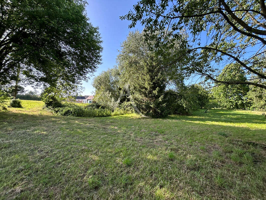 Terrain Constructible  non viabilisé avec étang Prée D'Anjou 6772 m² - photo 10