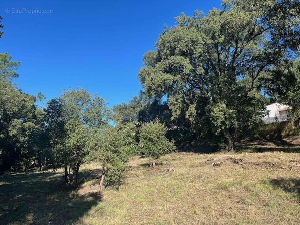 Terrain à VIDAUBAN