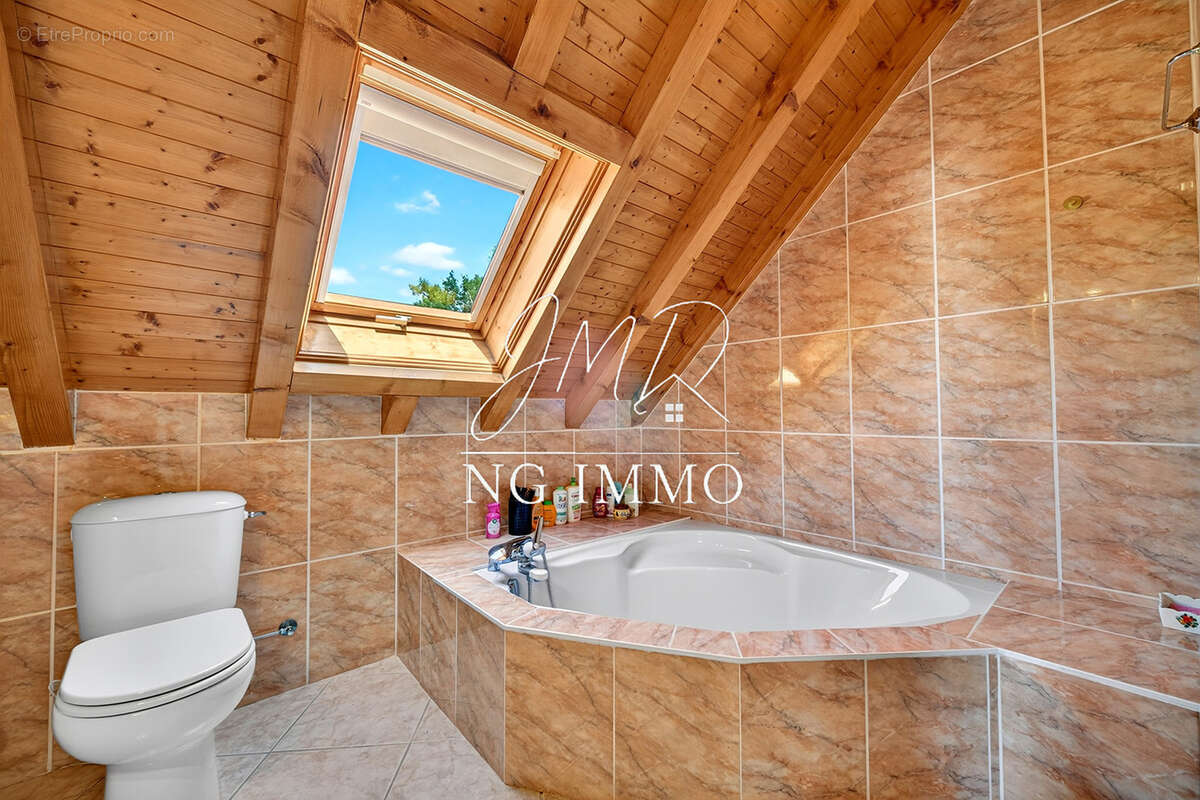 Exclusivité   propriété de prestige à lucinges de 290m2 avec 3230m2 de terrain - photo 19