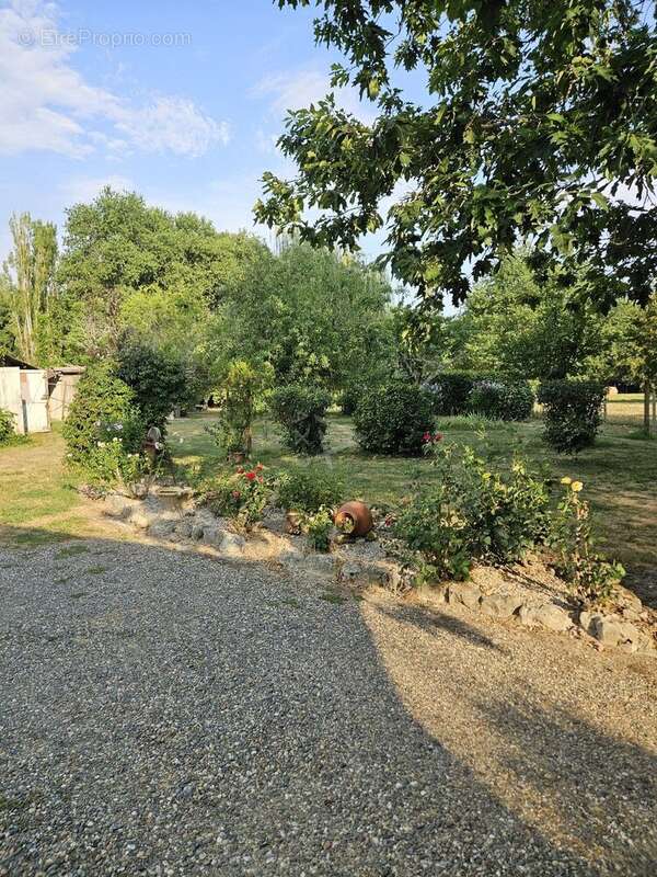 Jolie maison avec dépendance et grand terrain à deux kms de Castelnau d'Auzan - photo 3