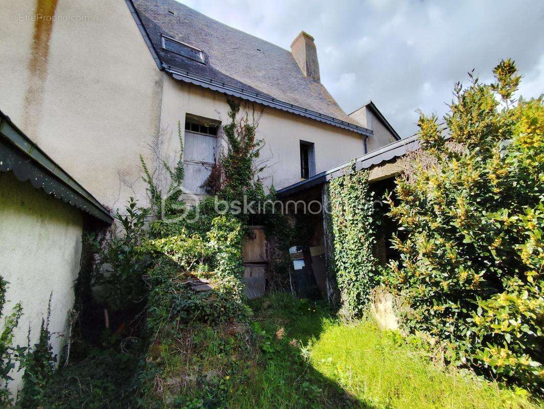 Maison à SENONNES