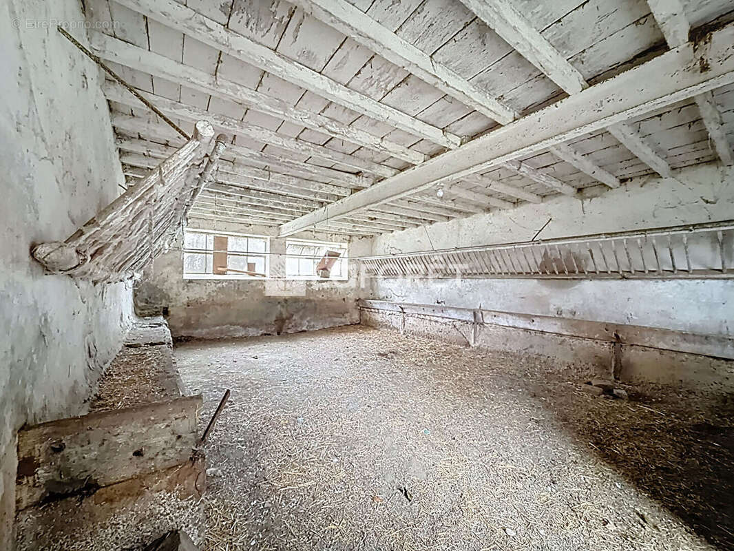 Maison à CHATILLON-SUR-CHALARONNE