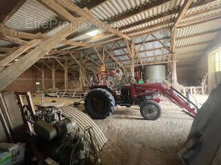 Ancien corps de ferme - TANUS - photo 18