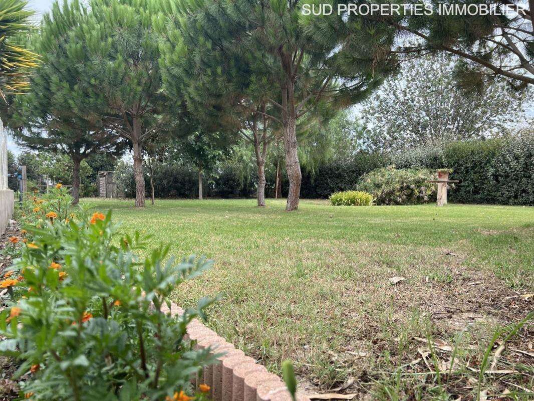 Maison à TORREILLES