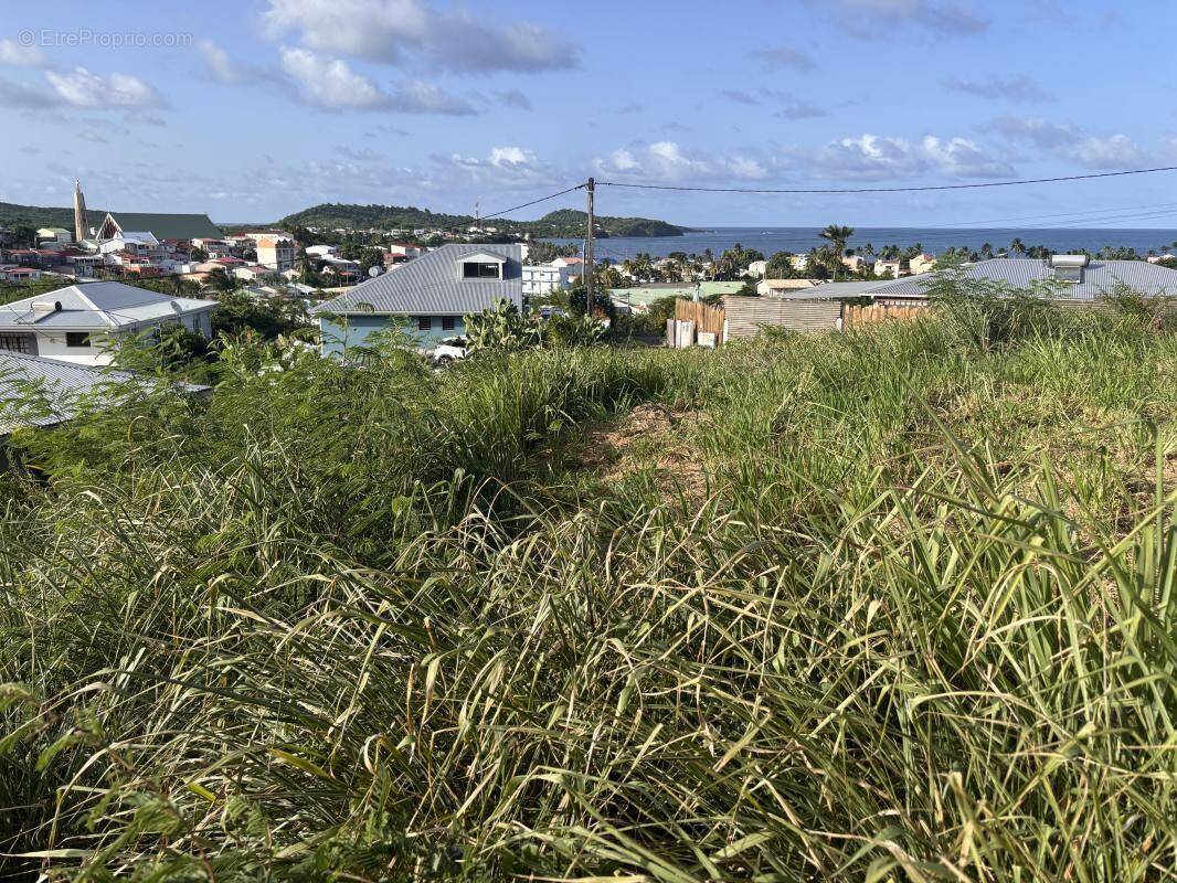 Terrain à LE VAUCLIN