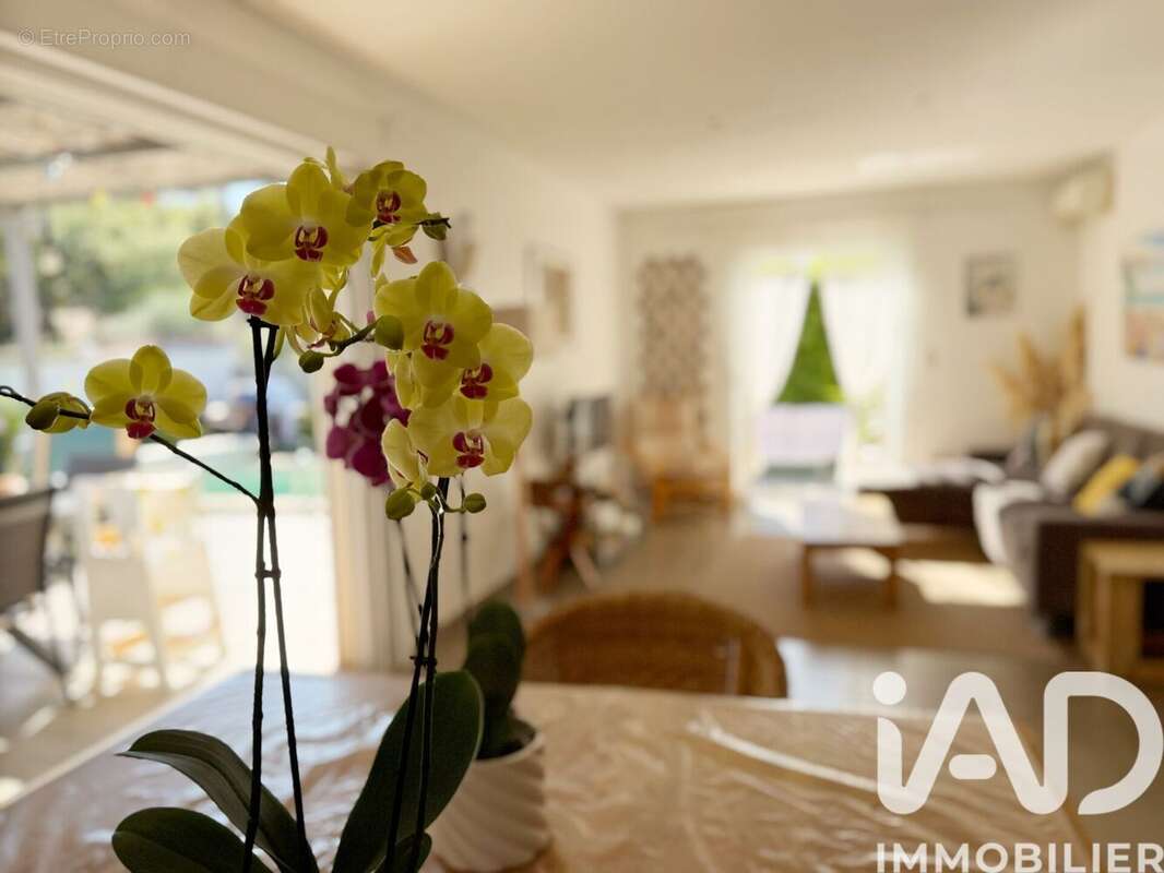 Photo 4 - Maison à PIERREFEU-DU-VAR