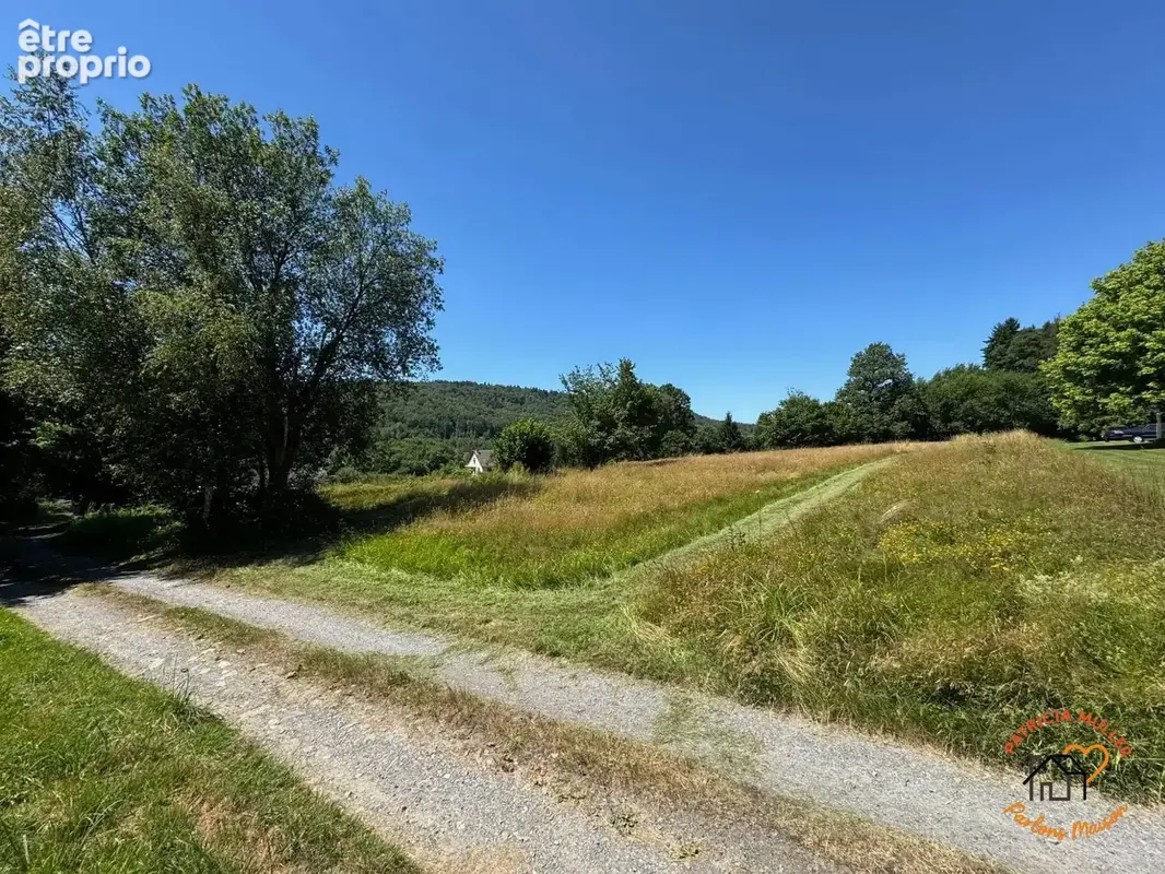 Terrain 13 451 m² à vendre à Les Hautes-Rivieres (08800) - photo 6
