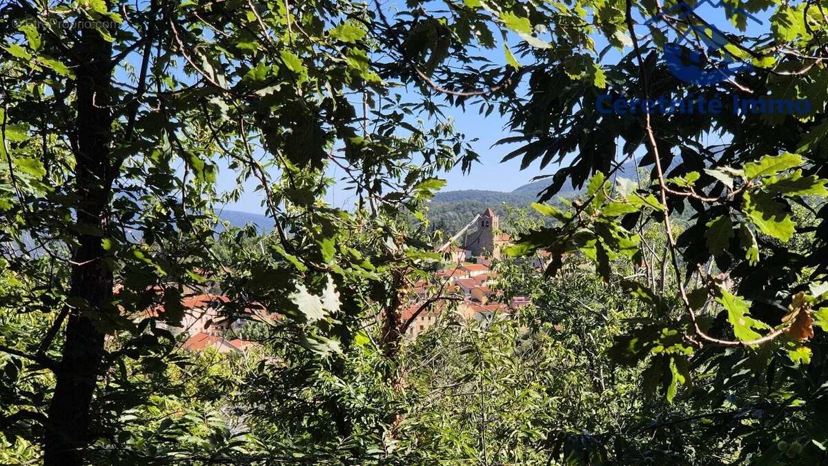 Maison à SERRALONGUE