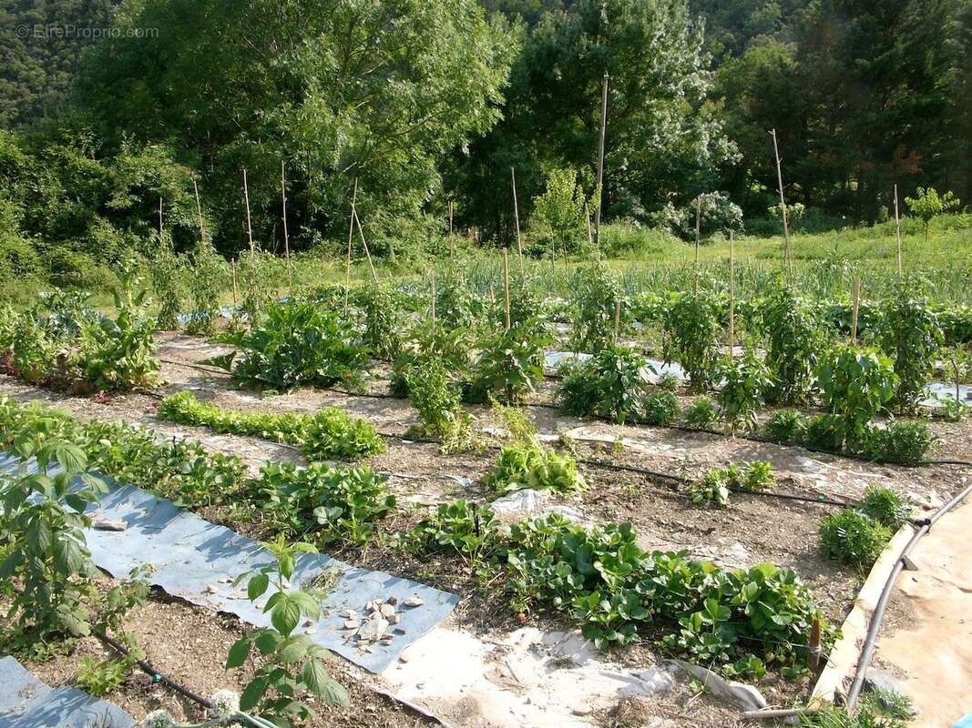 Villa plain pied avec grand terrain et piscine bord ee riviere - photo 9