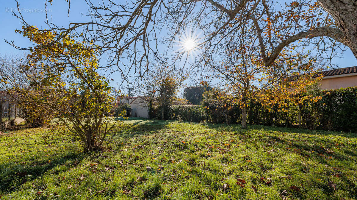Maison à VILLENEUVE-TOLOSANE