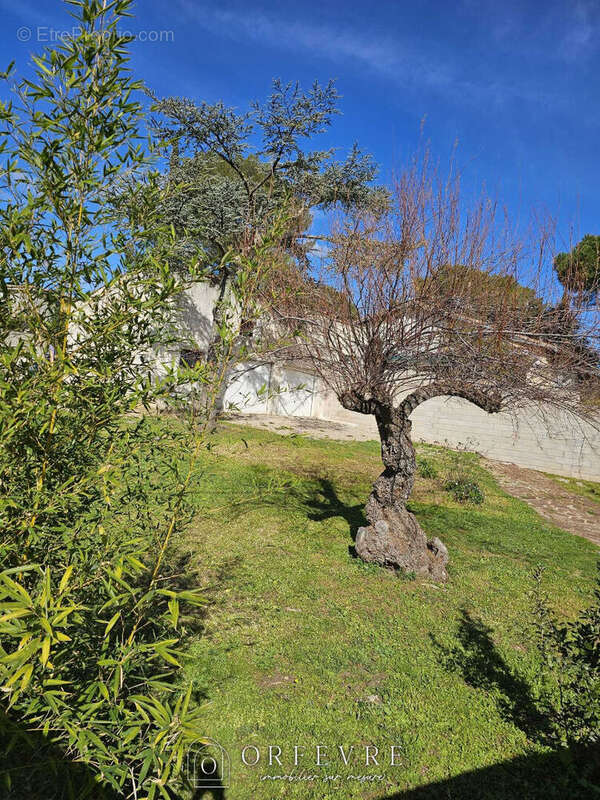 Terrain à CASTELNAU-LE-LEZ