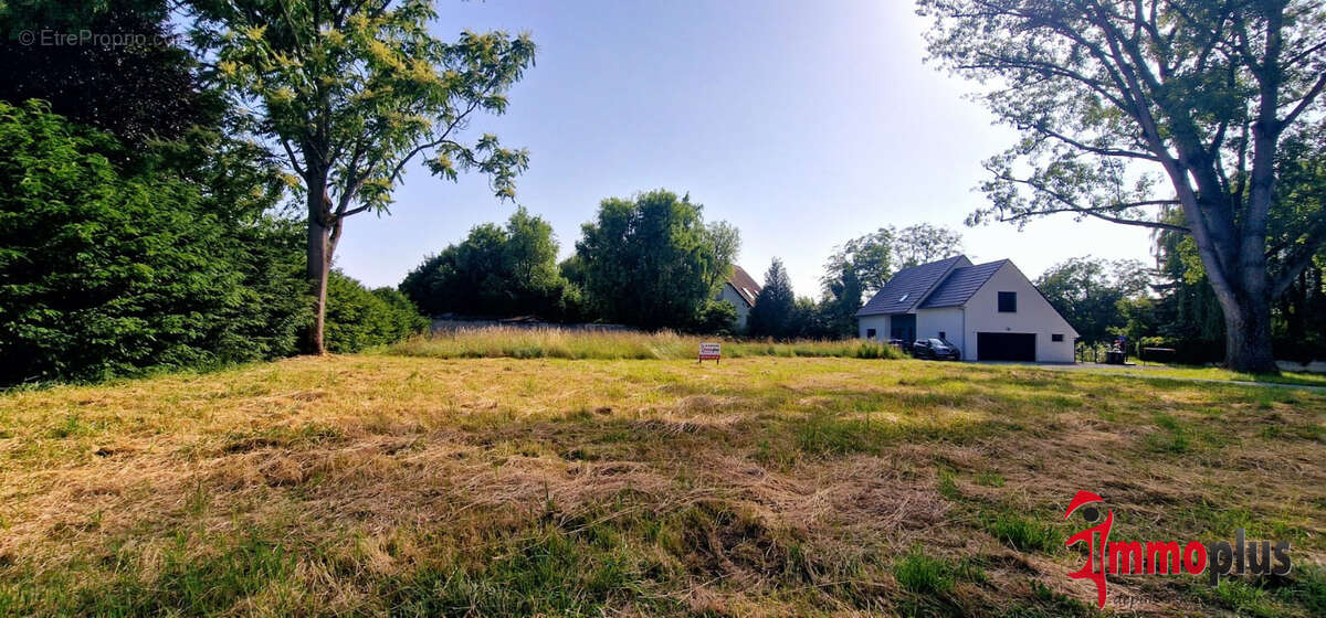 Terrain à ROSENAU