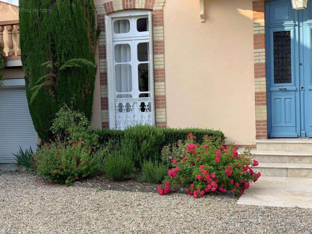 Maison à ALBI