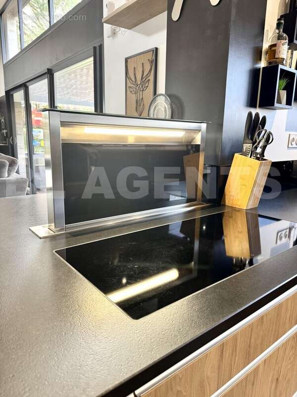 IMG_5786 - Maison à SAINT-NAUPHARY