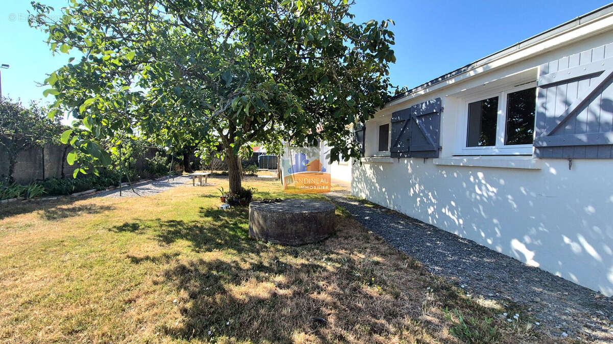 Maison de plain-pied, 160 m², 5 ch + bureau terrain 2038 m²,  hangar 100 m² - photo 2