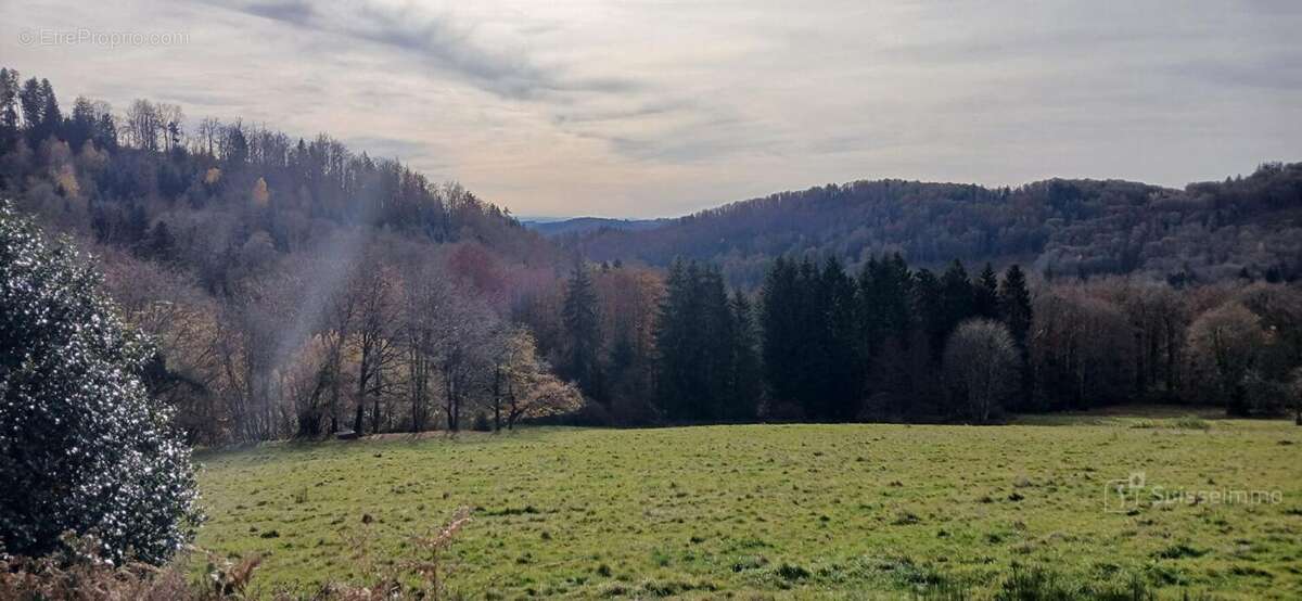 Maison à LA LONGINE