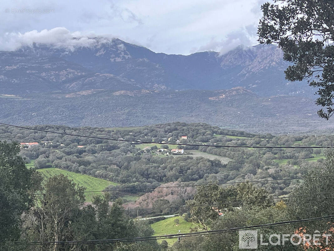 Terrain à FIGARI