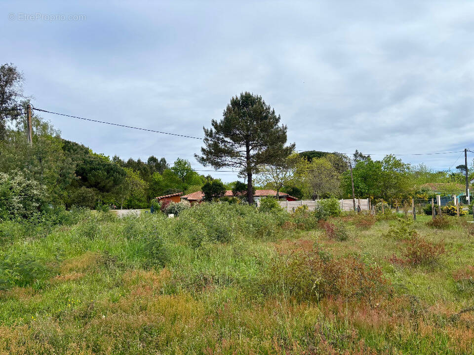 Terrain à MIMIZAN