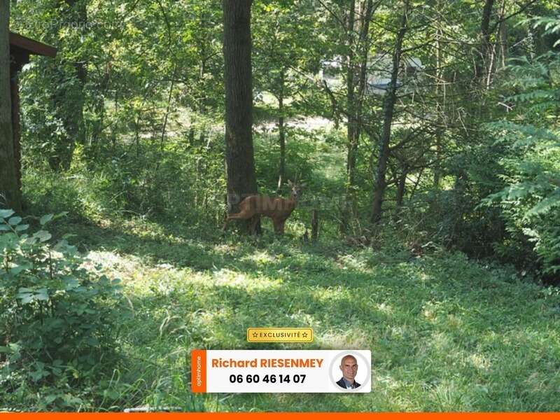 Maison à SAINT-CHERON