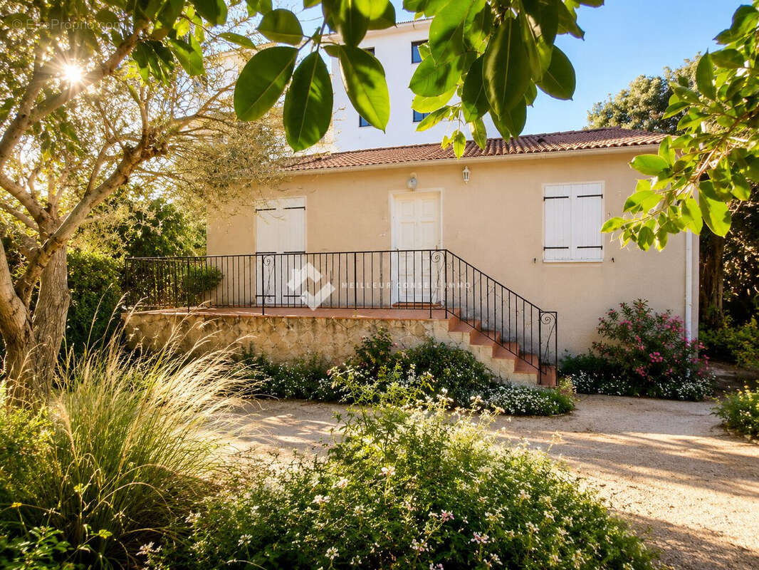 Maison 74 m² à San-Nicolao  - photo 2