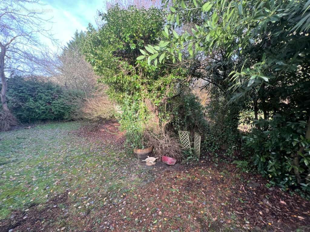 Maison à SAINT-FIRMIN