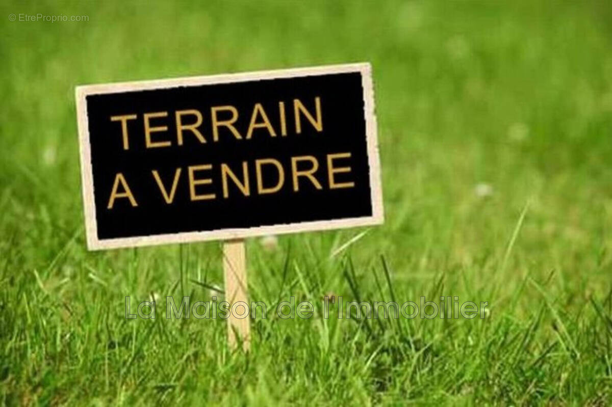 Terrain à CRASVILLE