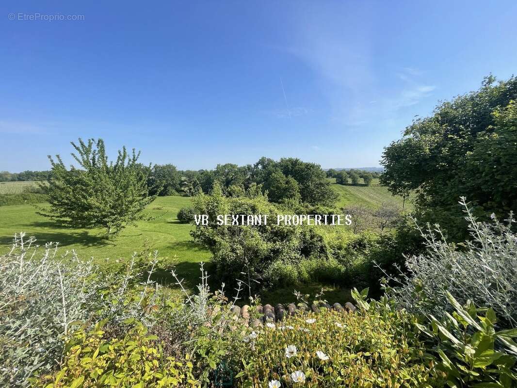 Entre-Deux-Mers, bel ensemble immobilier du XVIII ème siècle, 2 habitations avec dépendances et piscine 1 hectare 3 de terrain - photo 23