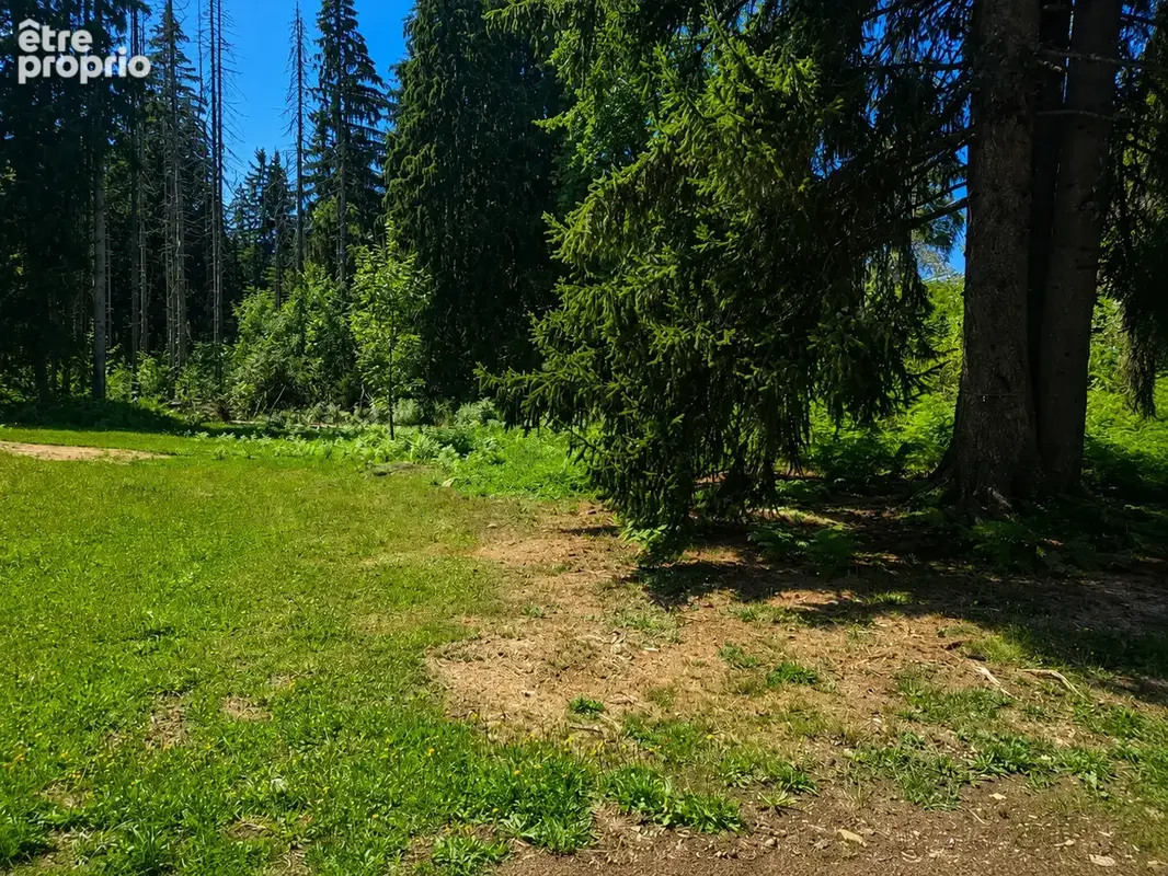 Terrain à ARACHES-LA-FRASSE