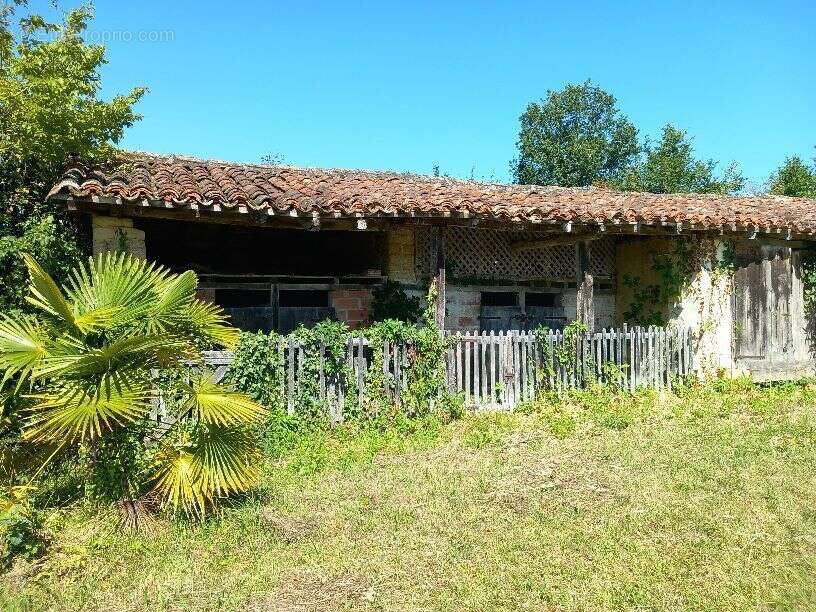 Maison à MASSEUBE