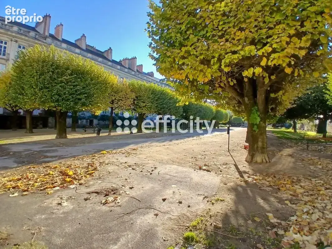 Appartement - photo 23