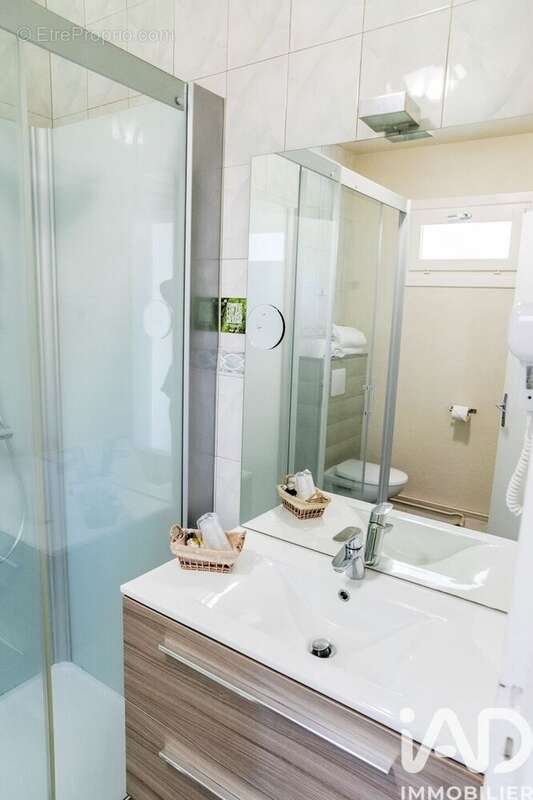 Maison 294 m² à Sereilhac  - photo 5
