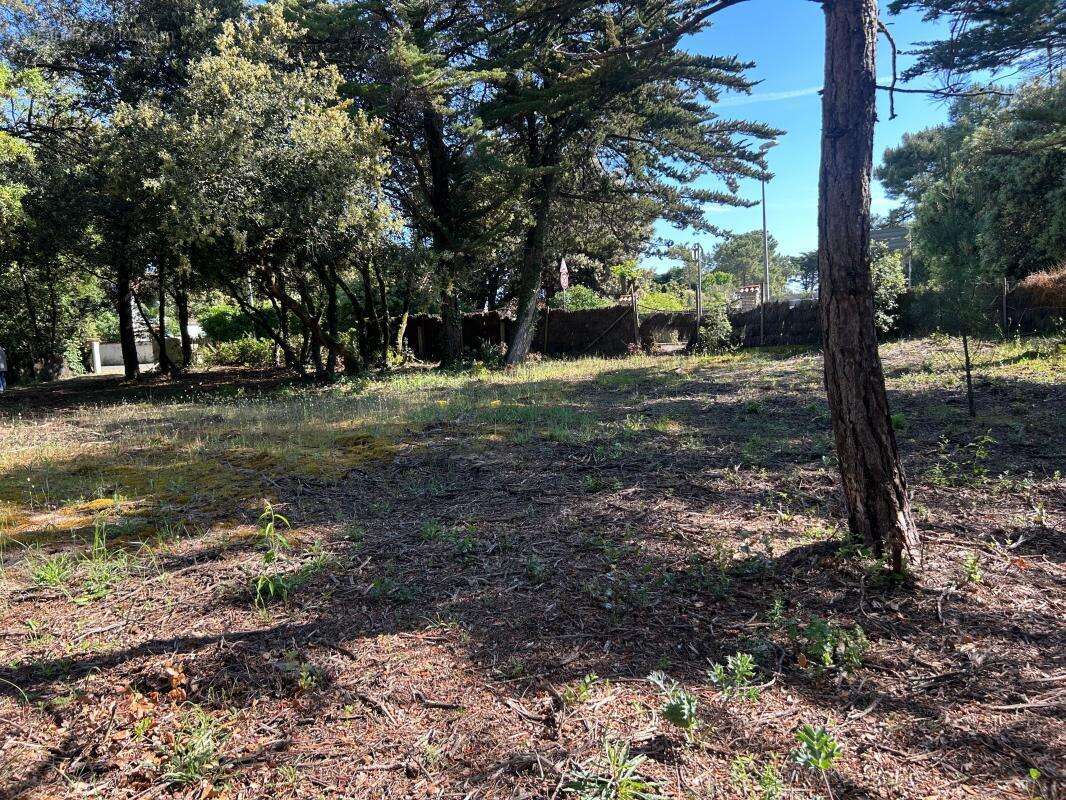 Terrain à SAINT-GEORGES-D&#039;OLERON