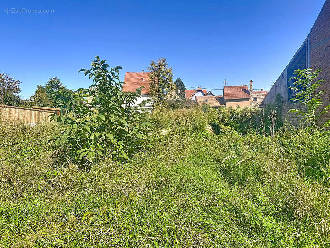 Terrain à BERSTETT