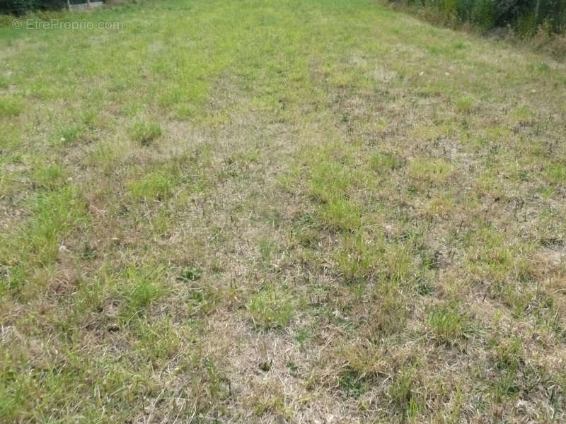 Terrain constructible ploufragan - 600 m2 - photo 4