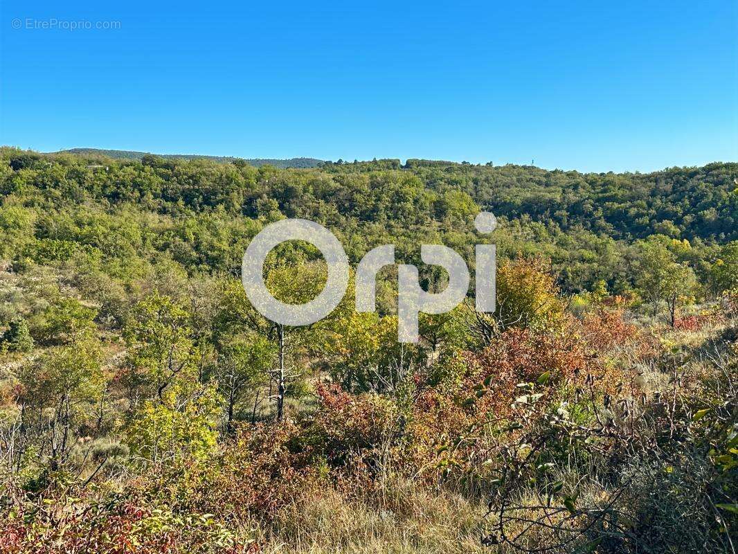 Terrain non constructible - photo 8
